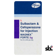 Magnex 1gm Injection