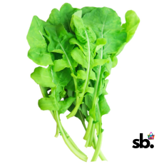 Arugula Rocket Seeds