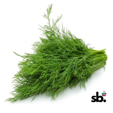 Florance Fennel Seeds