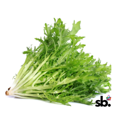 Organic Endive Ruffec Seeds