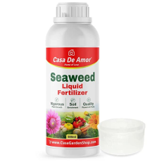 Casa De Amor Essential Seaweed...