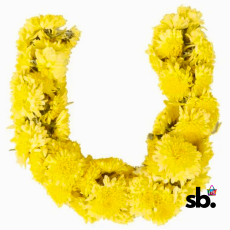 Hoovu Fresh Chrysanthemums Puja...