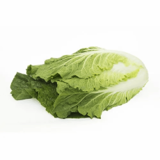 Chinese Cabbage