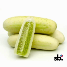 Cucumber - White