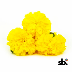 Marigold Flower - Yellow, 1 kg