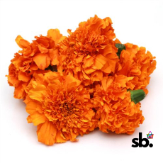 Marigold - Orange - 500 Grams