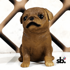 Sawcart Beautiful Cute Brown Puppy...