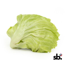 Lettuce - Iceberg