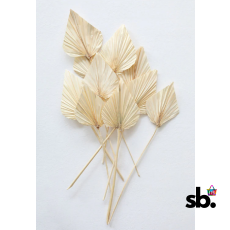 Bundle of Bleached Dried Palm...