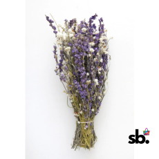 Larkspur and Daisy Dried Bundle